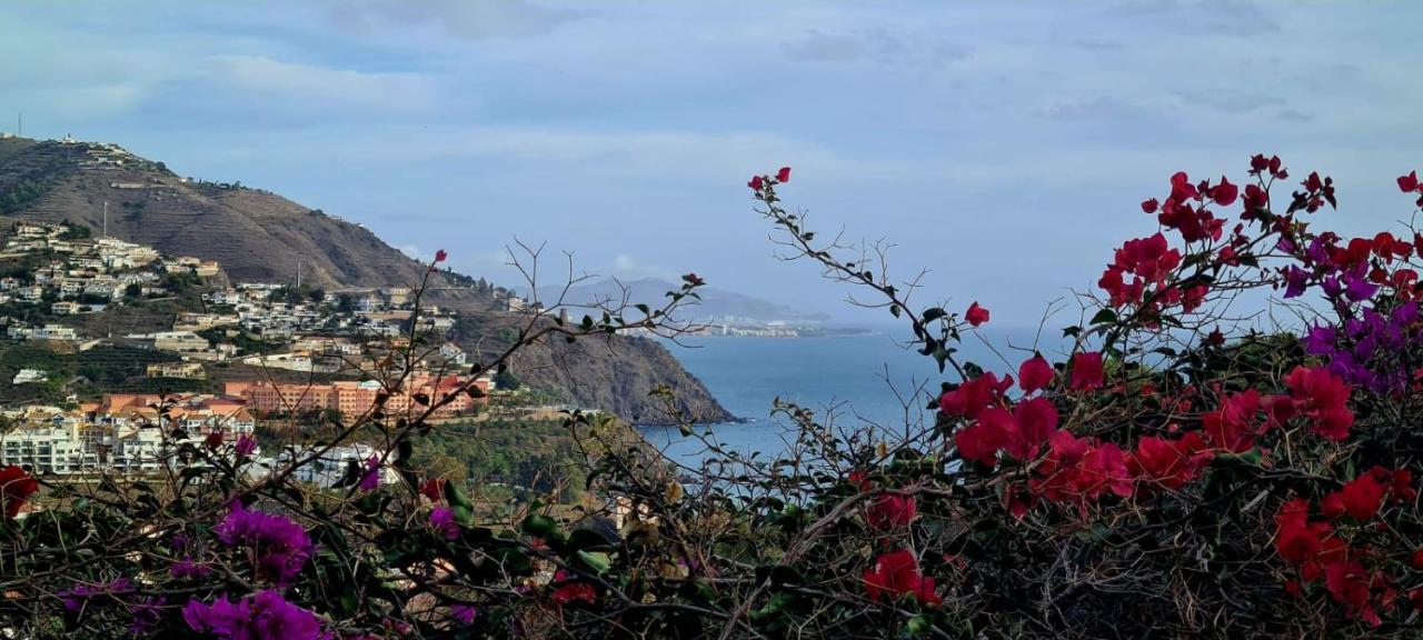 غرناطة Apartamento Todimer La Belle Vie المظهر الخارجي الصورة